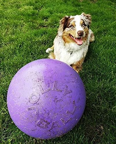 Jolly Pets Push-n-Play Ball Dog Toy